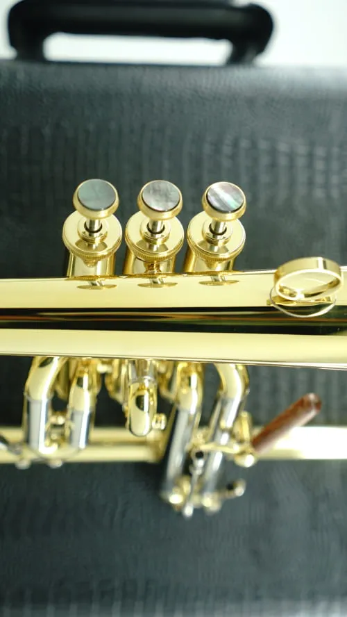 Flugelhorn CFL-6200-YSS-Bb-L view
