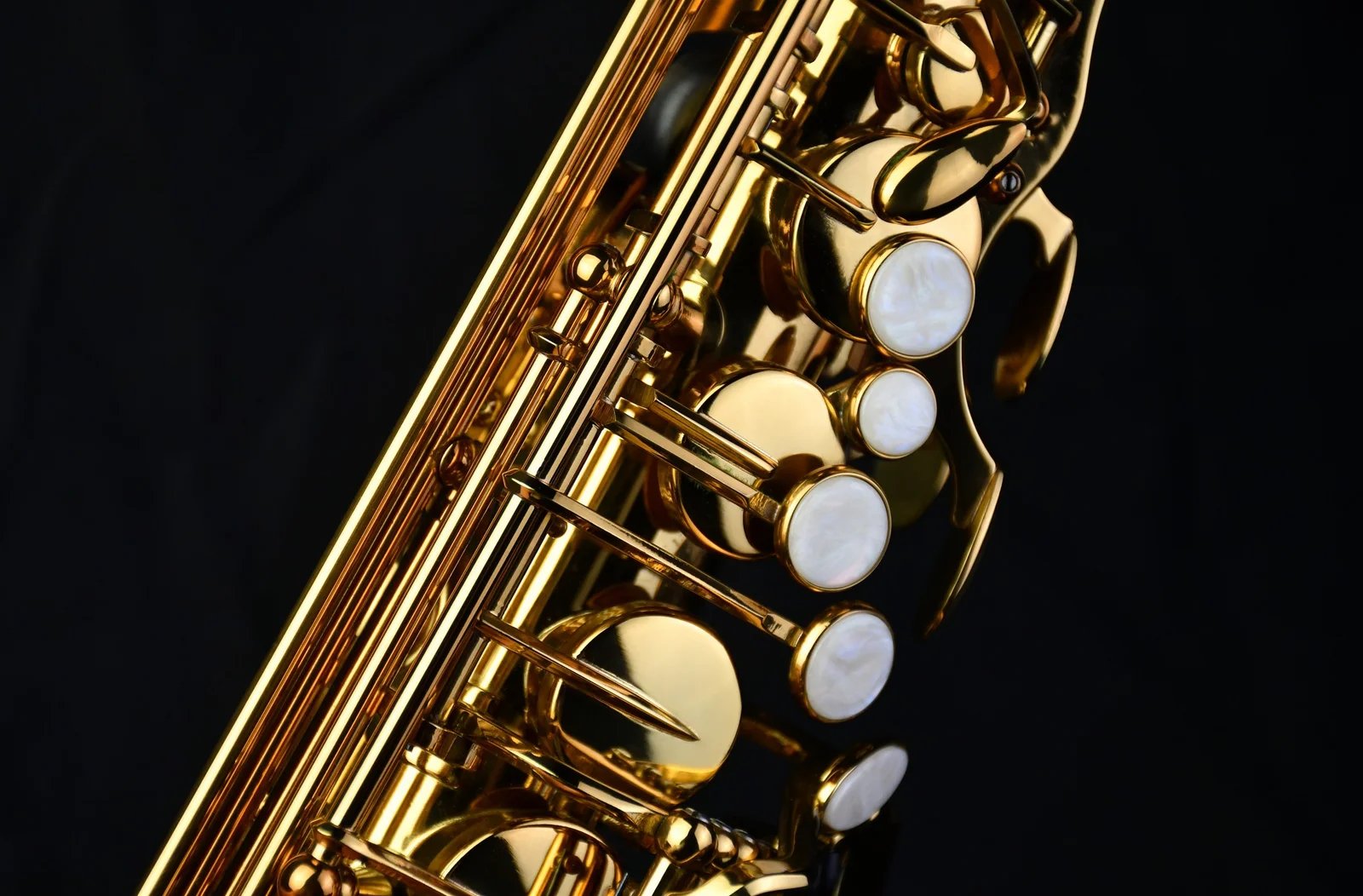 Alto Saxophone PMSA-180 view