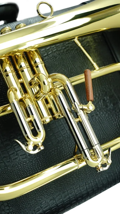 Flugelhorn CFL-6200-YSS-Bb-L view