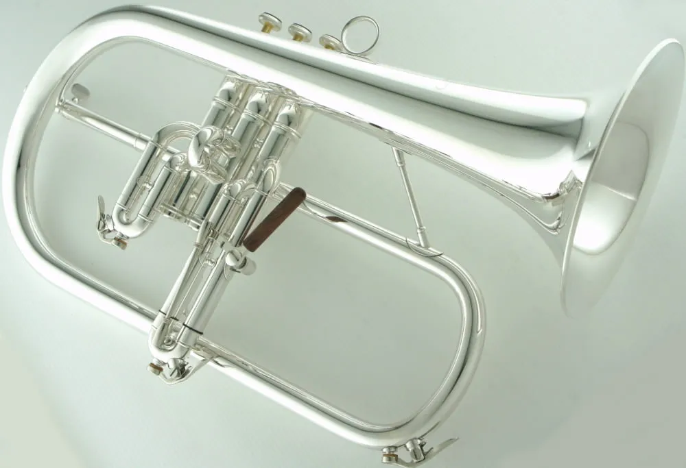 Flugelhorn CFL-6200-GSS-Bb-S view