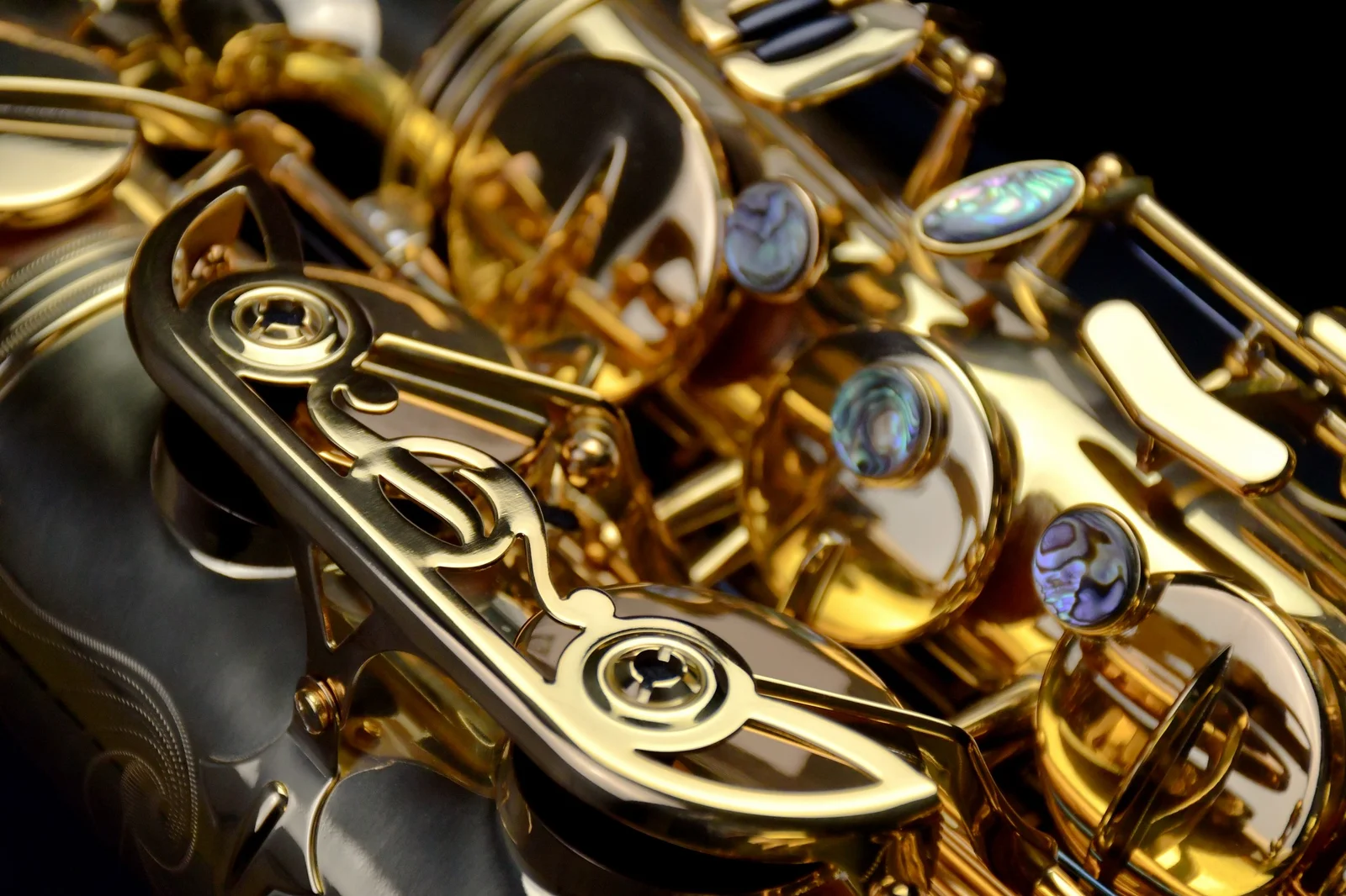 PMSA System-76(II) Alto Saxophone  view