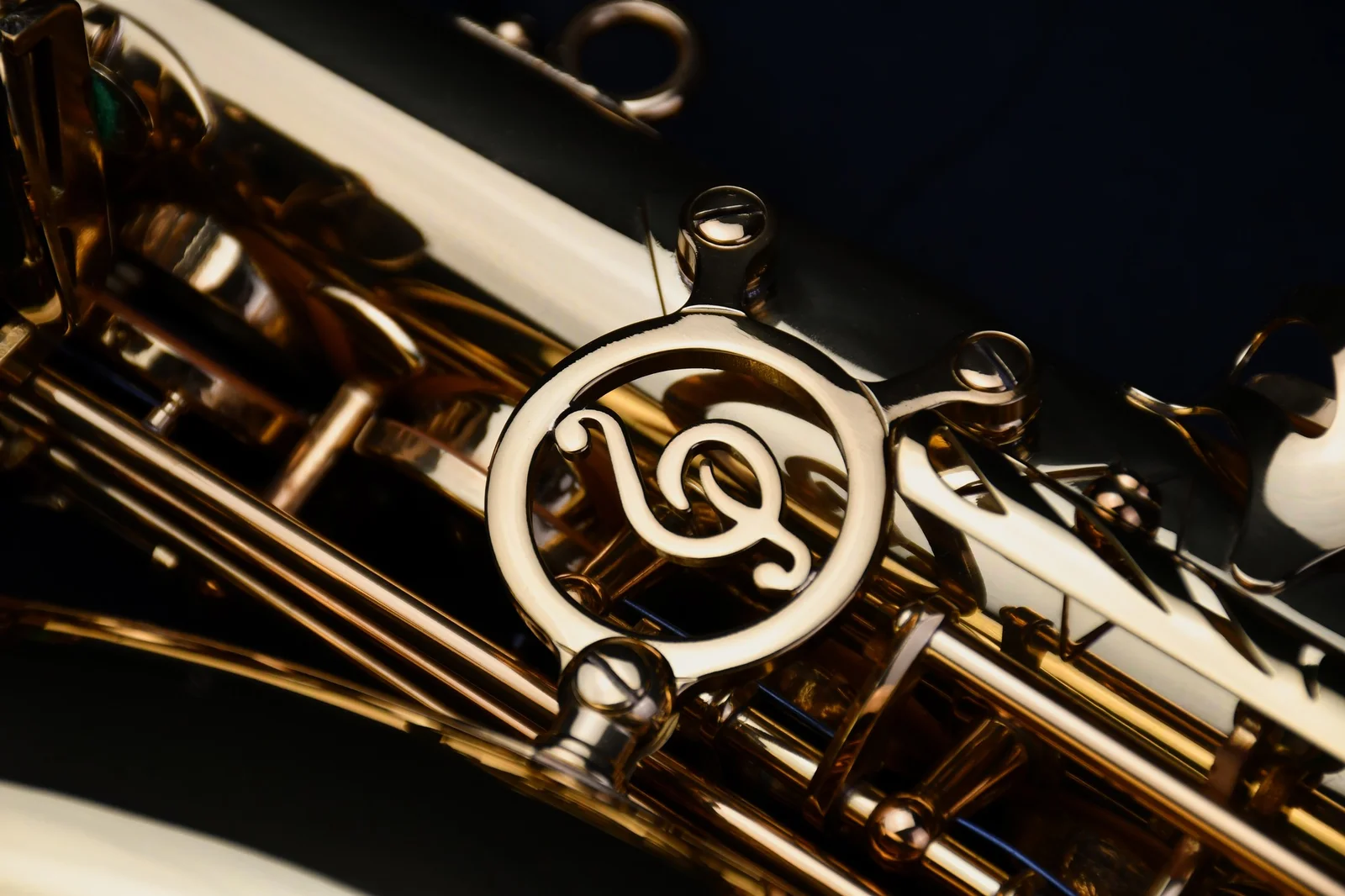 Tenor Saxophone PMST-180 view